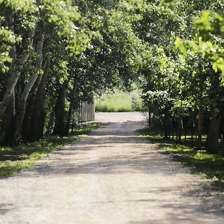 Antal-tavi Fogadó és Horgászparadicsom Szentes Extérieur photo