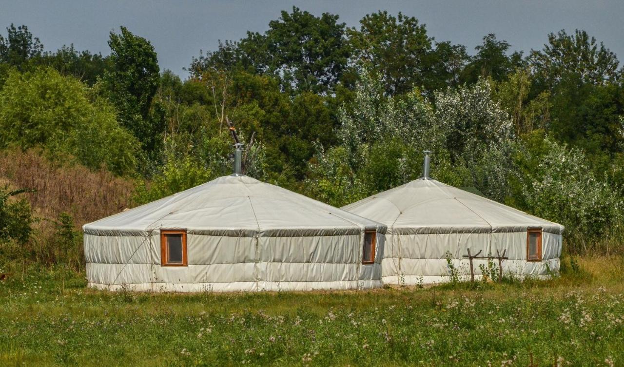 Antal-tavi Fogadó és Horgászparadicsom Szentes Extérieur photo