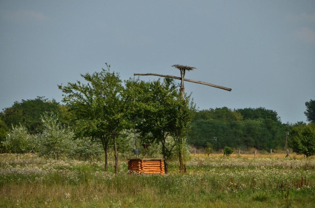 Antal-tavi Fogadó és Horgászparadicsom Szentes Extérieur photo